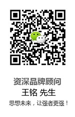 左右格局品牌创新体,经营战略创新者,让战略落地