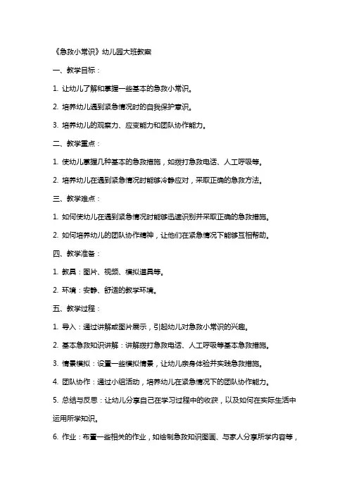 《急救小常识》幼儿园大班教案