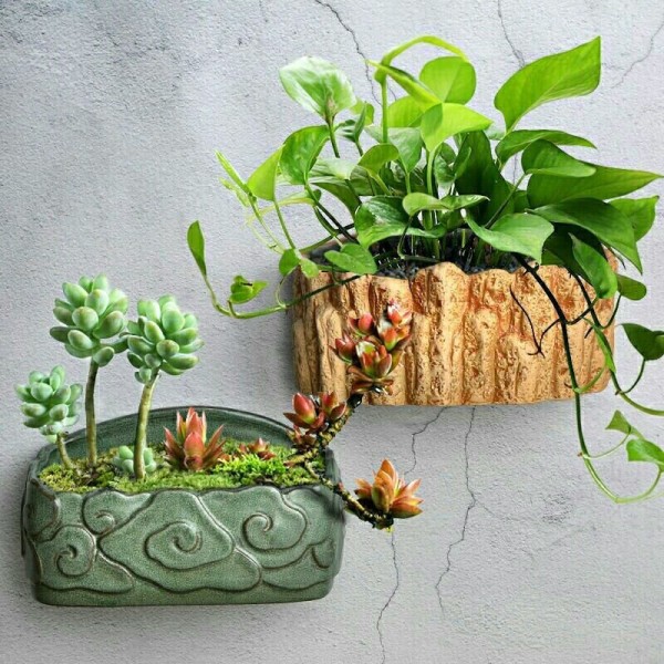 植物