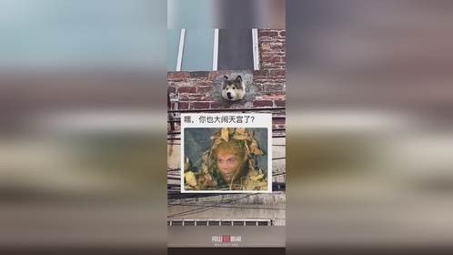 居民楼外长狗头,狗:谁蛐蛐我大闹天宫了?