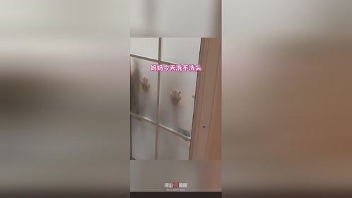 宝宝问妈洗不洗头自动屏蔽爸爸发言