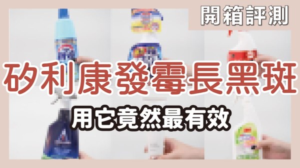 >> 觀看影片