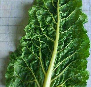 健康人生的时尚饮食法大揭秘 - 江南望江亭 - 江南望江亭