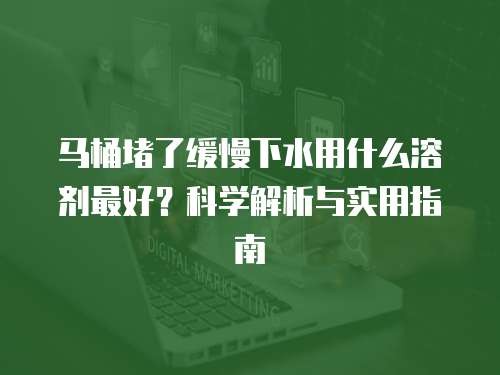 马桶堵了缓慢下水用什么溶剂最好?科学解析与实用指南