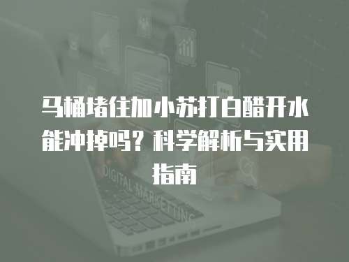 马桶堵住加小苏打白醋开水能冲掉吗?科学解析与实用指南
