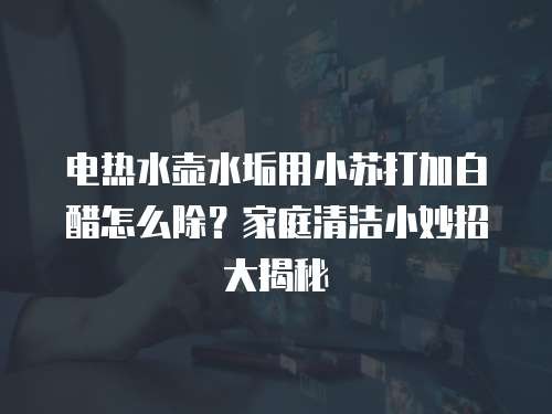 电热水壶水垢用小苏打加白醋怎么除?家庭清洁小妙招大揭秘