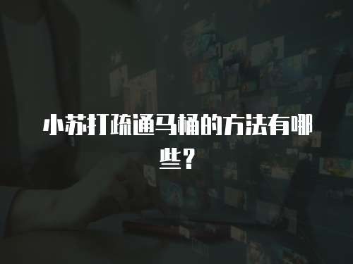 小苏打疏通马桶的方法有哪些?