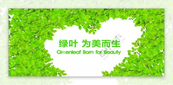 绿叶