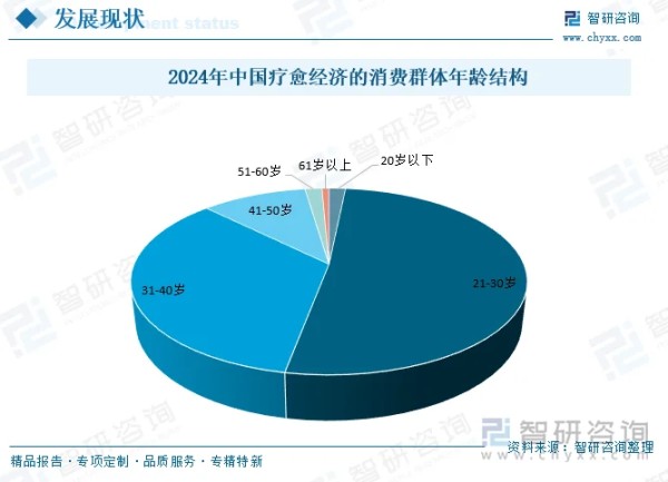 2024年中国疗愈经济的消费群体年龄结构