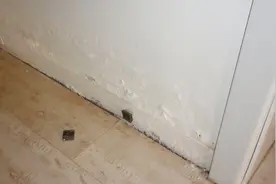 室内有霉味怎么办呢?教你一招,把它放在房间里即可快速去除霉味视频封面