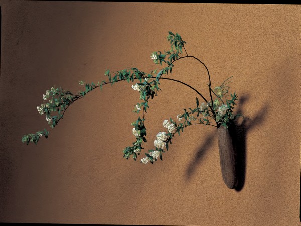 花:绒线菊、贝母器具:磨刀石盒子 法国 20世纪 木制