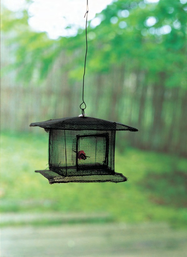 虫笼 日本 20世纪 铁丝