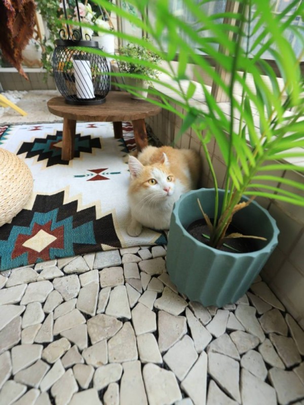 阳台15平米如何设计花园,15㎡阳台花园实景图-成都青望园林景观设计公司-1