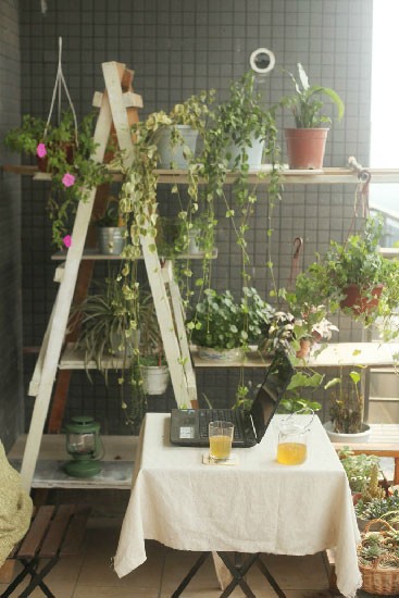 绝美空中花园实景图片