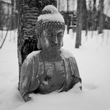 江湖骗子就是我