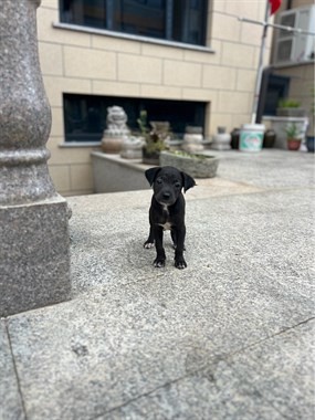 【转卖】免费送