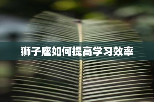 狮子座如何提高学习效率