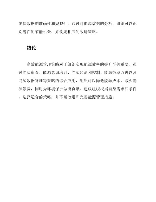 高效能源管理策略_第3页