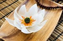 做一朵白莲花,用萝卜~