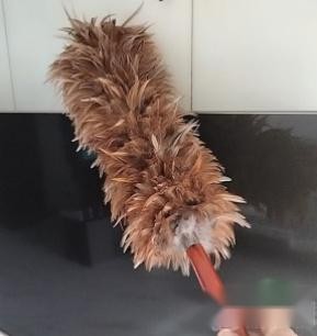 鸡毛掸子的灰尘去哪了