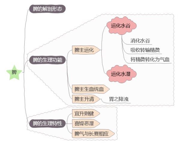 五脏思维导图