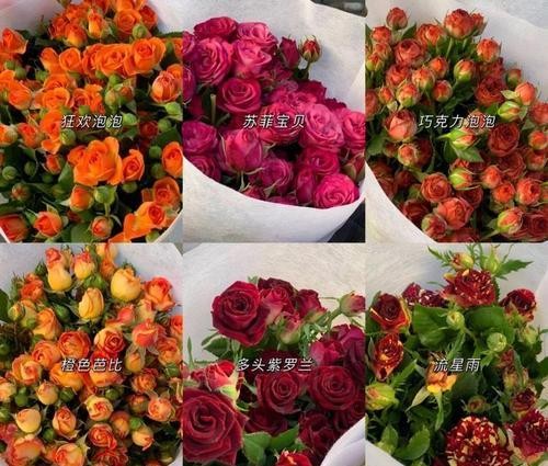 莲蓬(揭开莲蓬的寓意与象征)