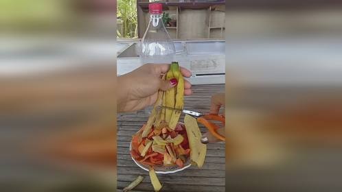用废弃瓜果蔬菜自制肥水