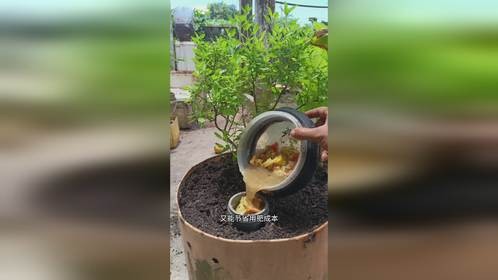 废弃的厨余不要扔,还能这样用