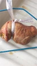 陵水黎族自治县羊宝现在收购价格