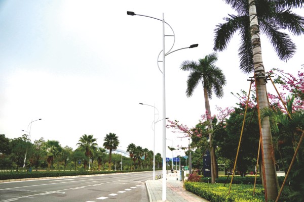 ▶龙堤路上的路灯升级改造为高光效LED灯。     本报记者   覃祖稳 摄