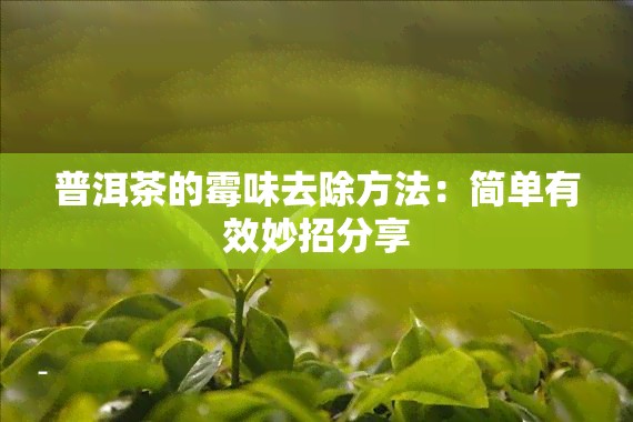 普洱茶的霉味去除方法:简单有效妙招分享