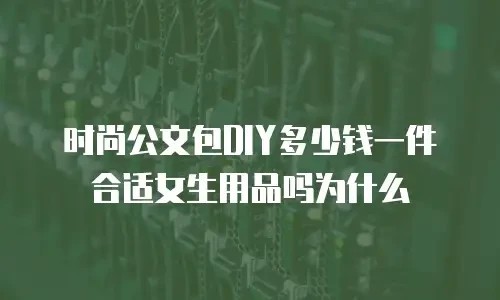 时尚公文包DIY多少钱一件合适女生用品吗为什么