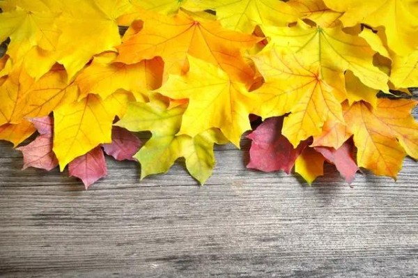 幸福生活七大秘诀！拥有这些技巧，你也能快乐生活！