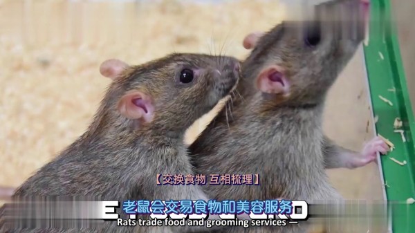 脑洞大开#118开门机器人等