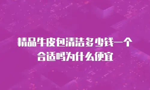精品牛皮包清洁多少钱一个合适吗为什么便宜