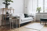 明亮简约的斯堪的纳维亚风格房间，设计沙发，热带植物，书架，咖啡桌，舒适的毯子和地毯。白色的背景墙，棕