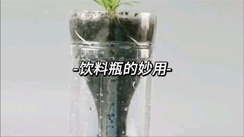喝完的塑料瓶可千万别扔,简单改造变废为宝