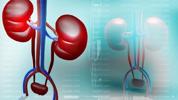 女人肾虚如何食补