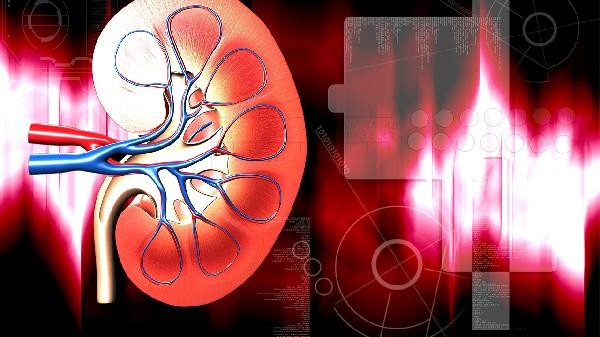 女人肾虚如何食补