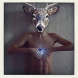 呆呆以呆以呆呆