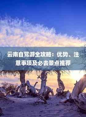 云南自驾游全攻略:优势、注意事项及必去景点推荐