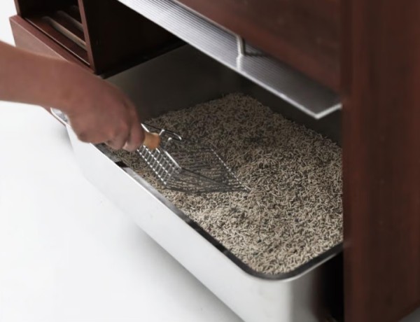 朋内猫砂柜：为你带来小户型养猫的健康空间解决方案