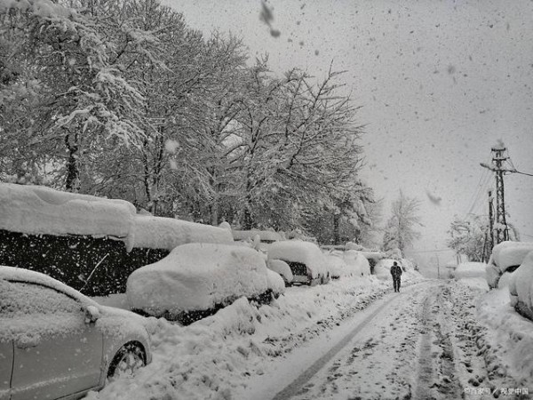驾驶小窍门,助你成为道路达人!-有驾
