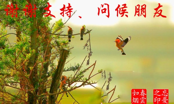 简单生活，一笑而过（经典）