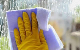 专业保洁服务：玻璃清洁 沙发清洗 开荒清洁 空气净化