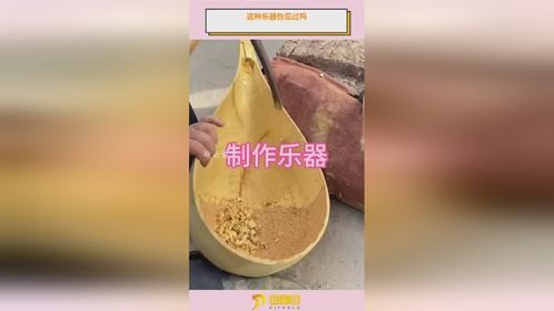 这种乐器你见过吗