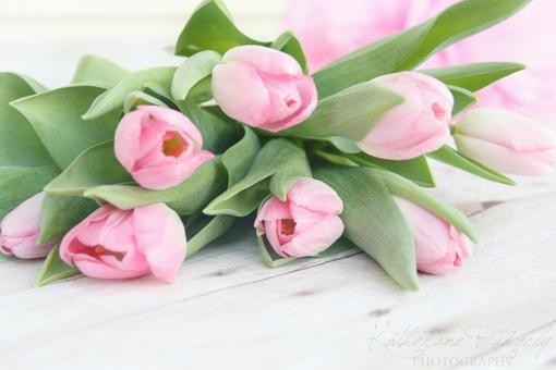 感恩是一种心态,更是一种生活态度