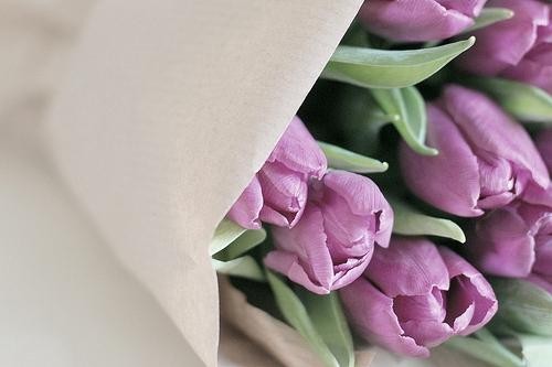 感恩是一种心态,更是一种生活态度