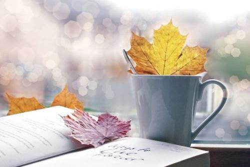 感恩是一种心态,更是一种生活态度