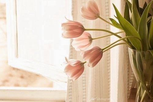 感恩是一种心态,更是一种生活态度